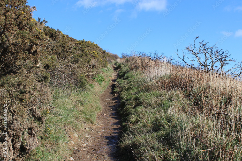 Coast path in irland