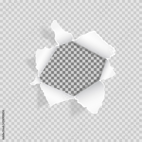 Torn paper on transparent background. Realistic ripped hole in the sheet of paper. Paper with ripped edges and space for text. Design for web, print, banner. Vector illustration