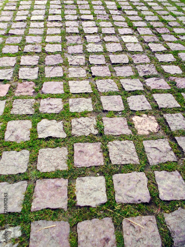 camino acera carretera con baldosas bordeadas de césped