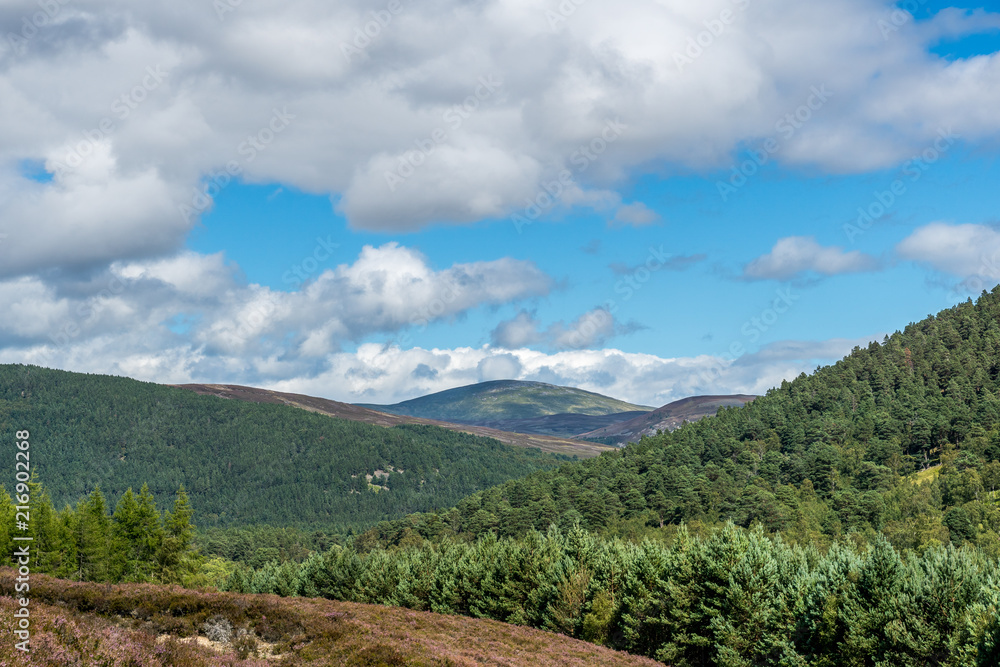 Fototapeta premium Morven