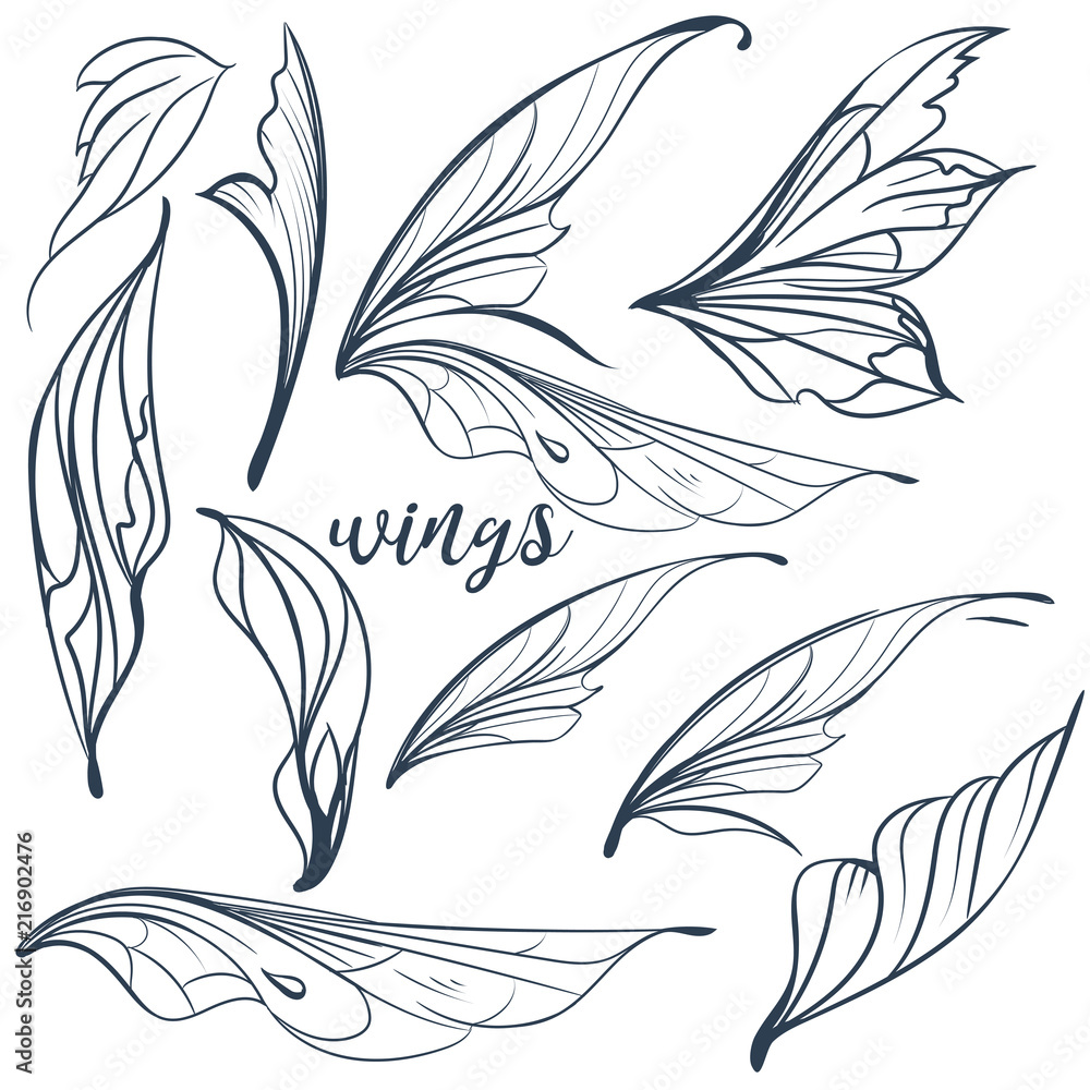 Fototapeta premium Collection of vector filigree magic wings