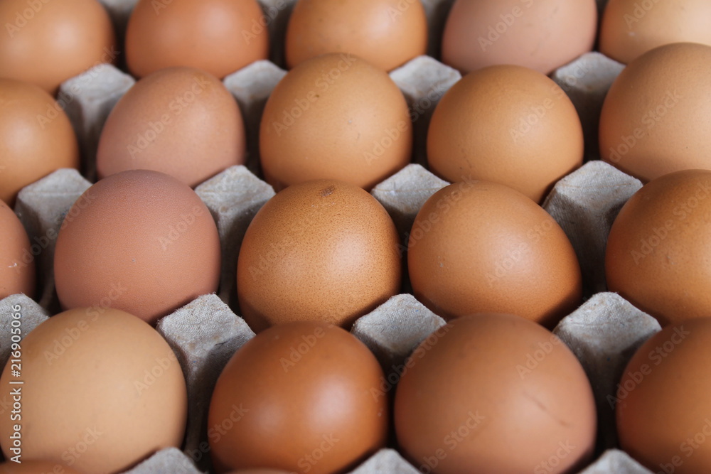 Close-up view of raw chicken eggs in egg box