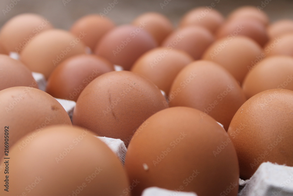 Close-up view of raw chicken eggs in egg box Close-up view of raw chicken eggs in egg box