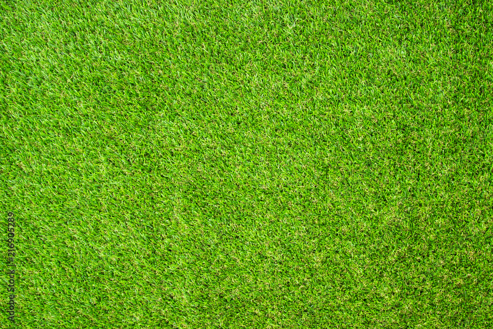 Beautiful Green artificial grass background vignette or the naturally walls texture Ideal for use in the design fairly. natural pattern texture fresh spring from golf course or  soccer field. - obrazy, fototapety, plakaty 