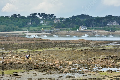 Paysage de mer à marée basse sur une île face à Port-Blanc Penvénan en Bretagne