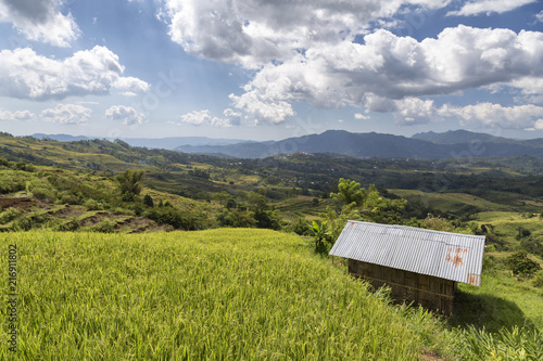Foto A small hut on the top of the Golo Cador Rice Terraces in Ruteng on Flores, Indonesia