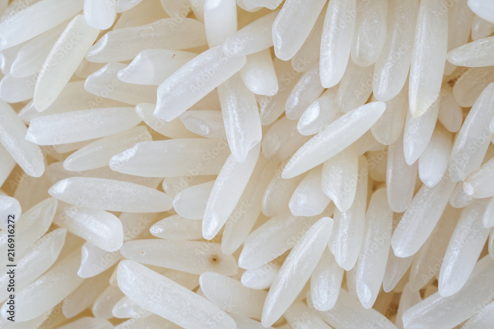 Thailand Jasmine rice texture background close up Thailand Jasmine rice texture background close up