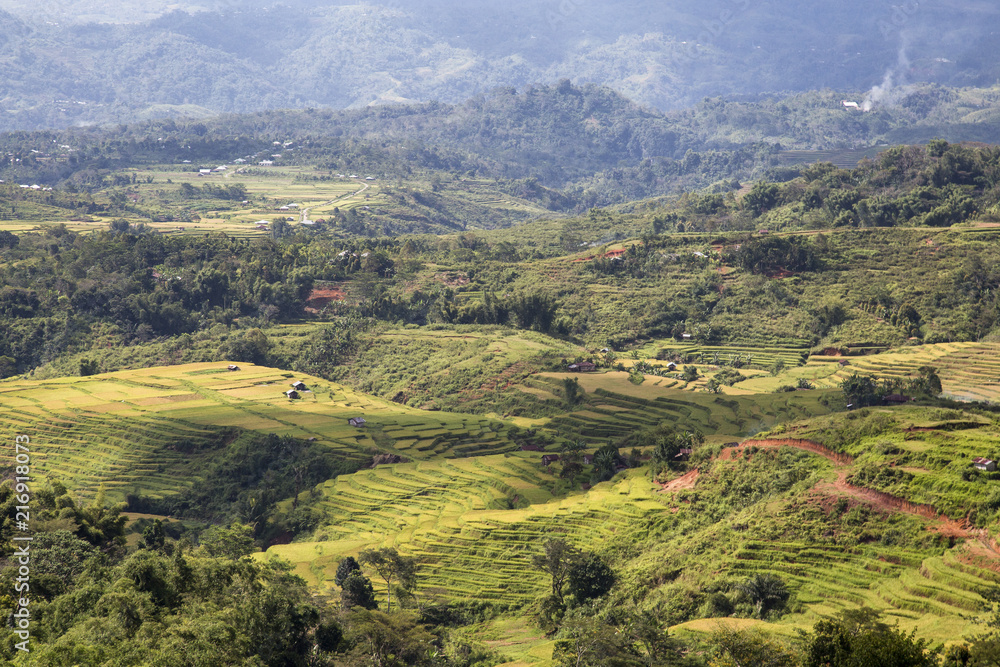 Landscape of a part of the Golo Cador Rice Terraces in Ruteng on Flores, Indonesia.