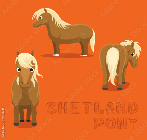 Horse Shetland Pony Cartoon Vector Illustration