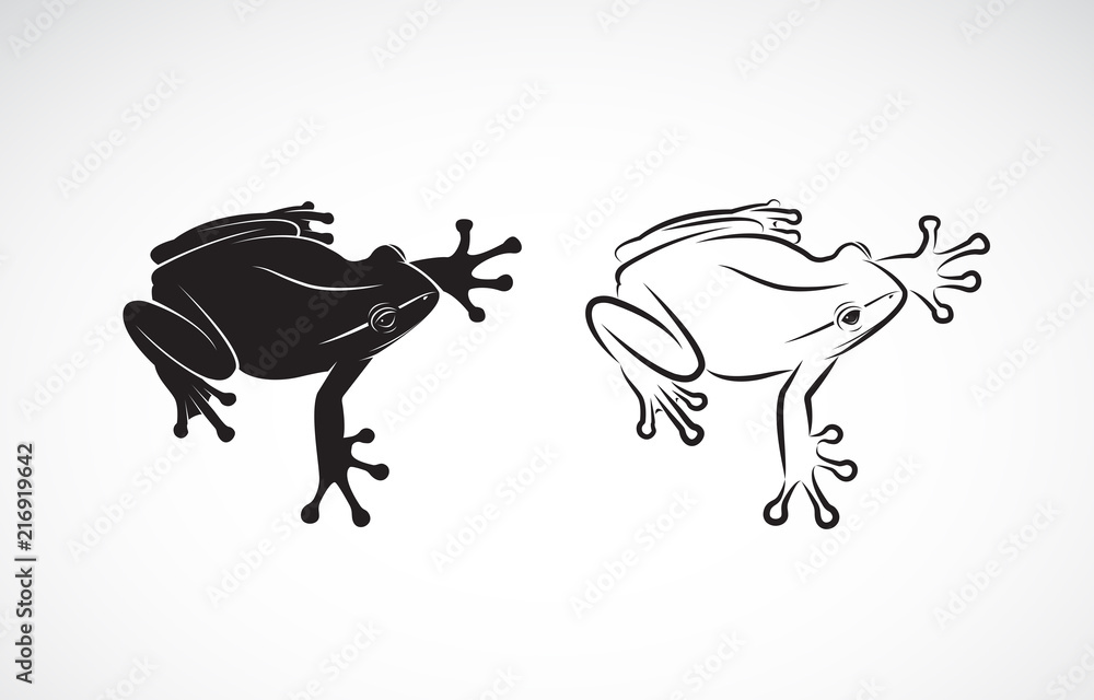 Naklejka premium Wektor wzór żaby na białym tle. Płaz. Zwierzę. Ikona żaby. Łatwe edytowanie warstwowych ilustracji wektorowych.