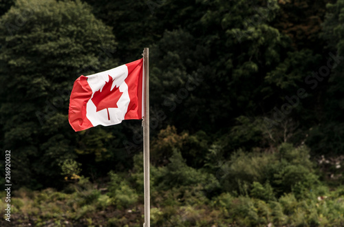 Canadas National Flag waving in the the wind in front of green trees canadian wood forest Maple Leaf nations symbol