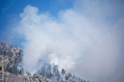 The white smoke rising to blue sky from forest fire during a controlled burn in Kings Canyon National Park