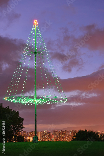Christmas tree overlooking Honolulu, Hawaii