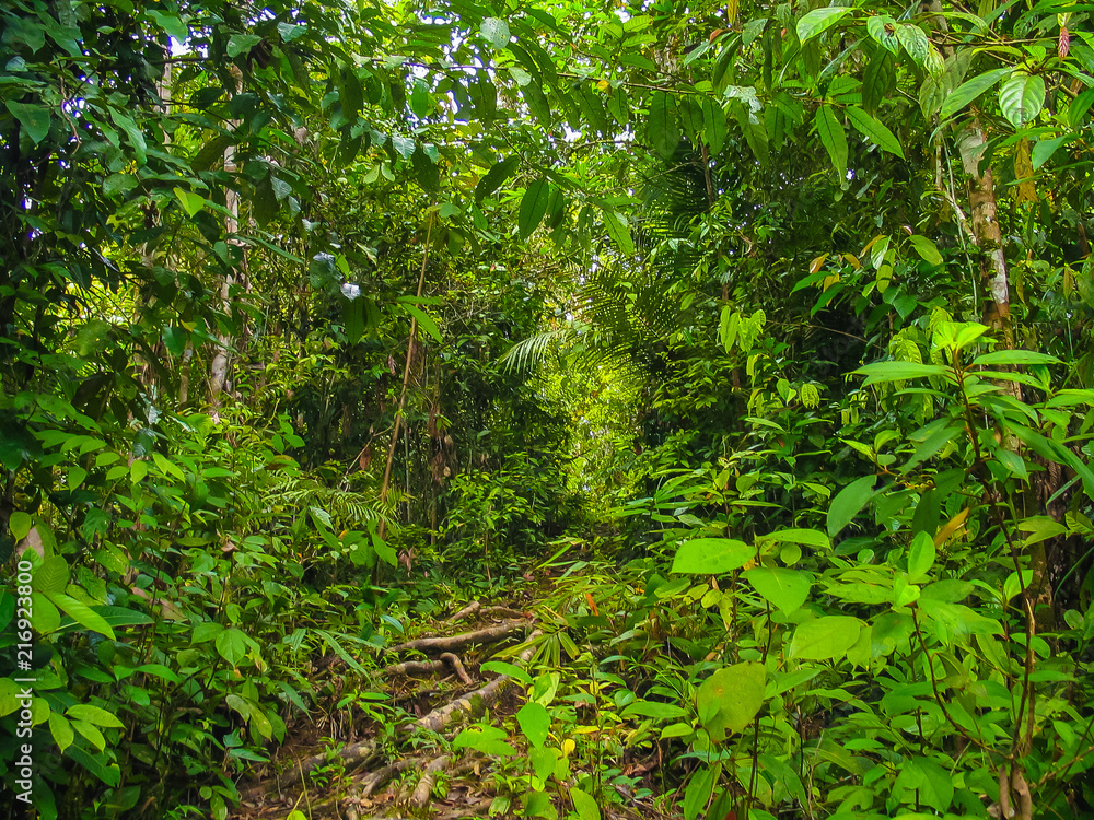 Indonesia. Islas Mentawai, Pulau Siberut. Tribu Sumatra