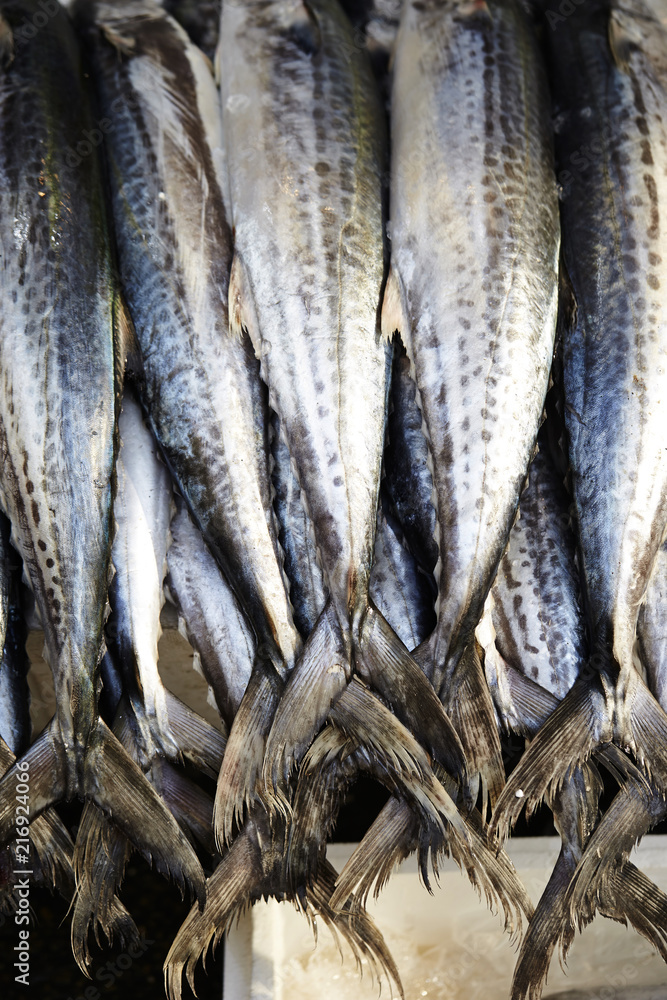 Obraz premium fresh fish in the market