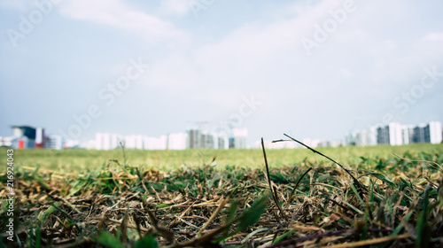 Buildings in background with grass foreground