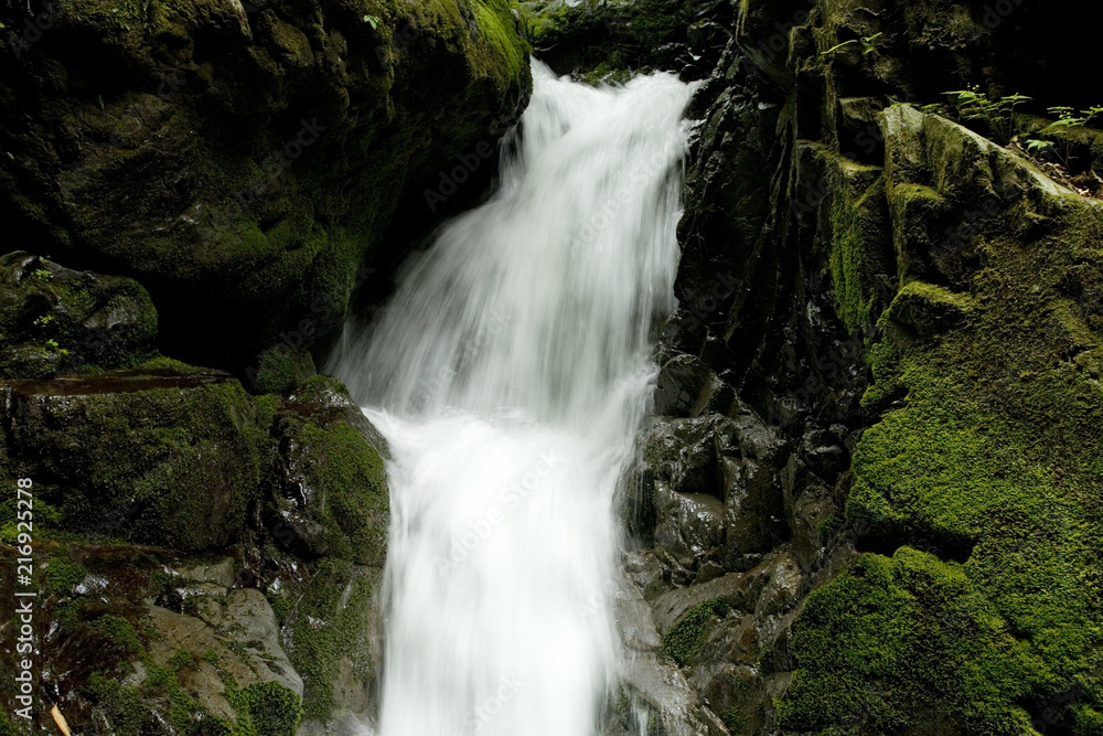Naklejka premium 源流の滝