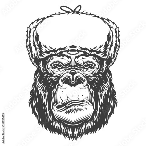 Serious gorilla in monochrome style
