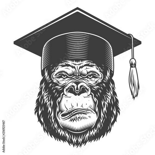 Serious gorilla in monochrome style