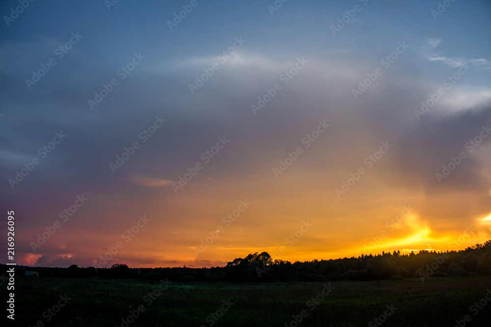 Bright beautiful sunset against a forest background on the horizon