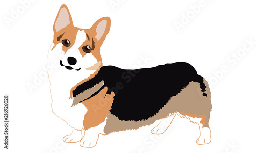 Cute Welsh Corgi Dogs Cartoon Vector