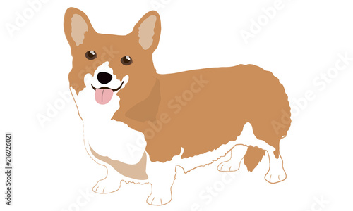 Cute Welsh Corgi Dogs Cartoon Vector