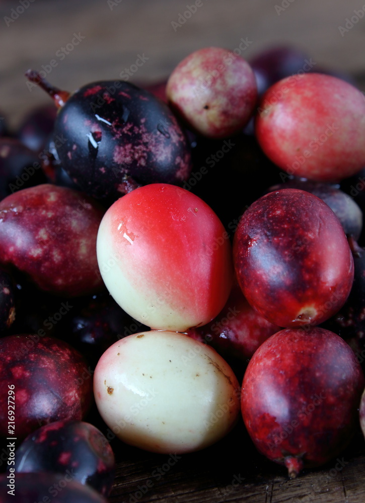 karonda fruit for health herb in thailand karonda fruit for health herb in thailand