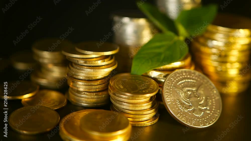 Golden coins and green leaf of sprout on black background. Success of finance business, mortgage and real estate investment, retirement, saving plan for loan, deposit, wealth, banking concepts. Golden coins and green leaf of sprout on black background. Success of finance business, mortgage and real estate investment, retirement, saving plan for loan, deposit, wealth, banking concepts.