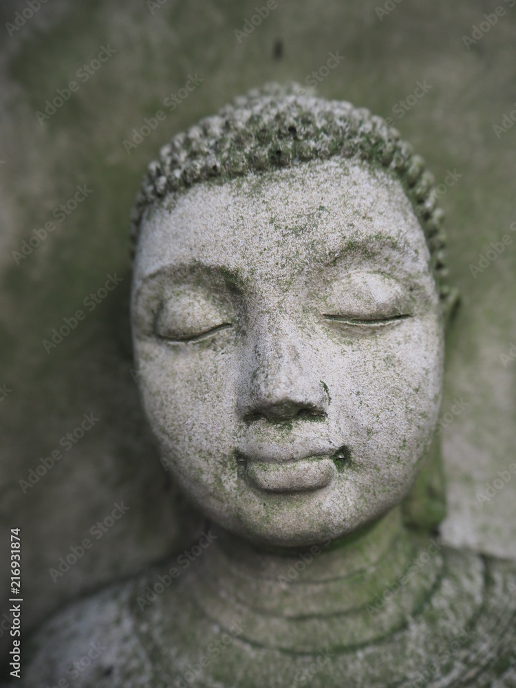 Buddha face close up, grey with weathered moss sitting in a tree Buddha face close up, grey with weathered moss sitting in a tree