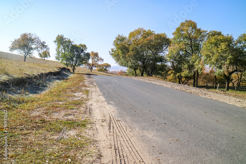 Country road