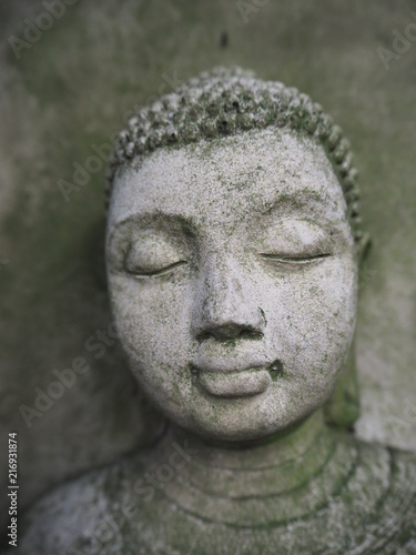 Buddha face close up, grey with weathered moss sitting in a tree