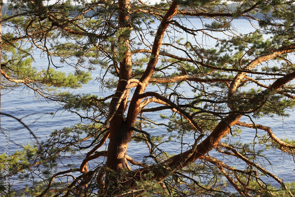 Fototapeta premium Ladoga