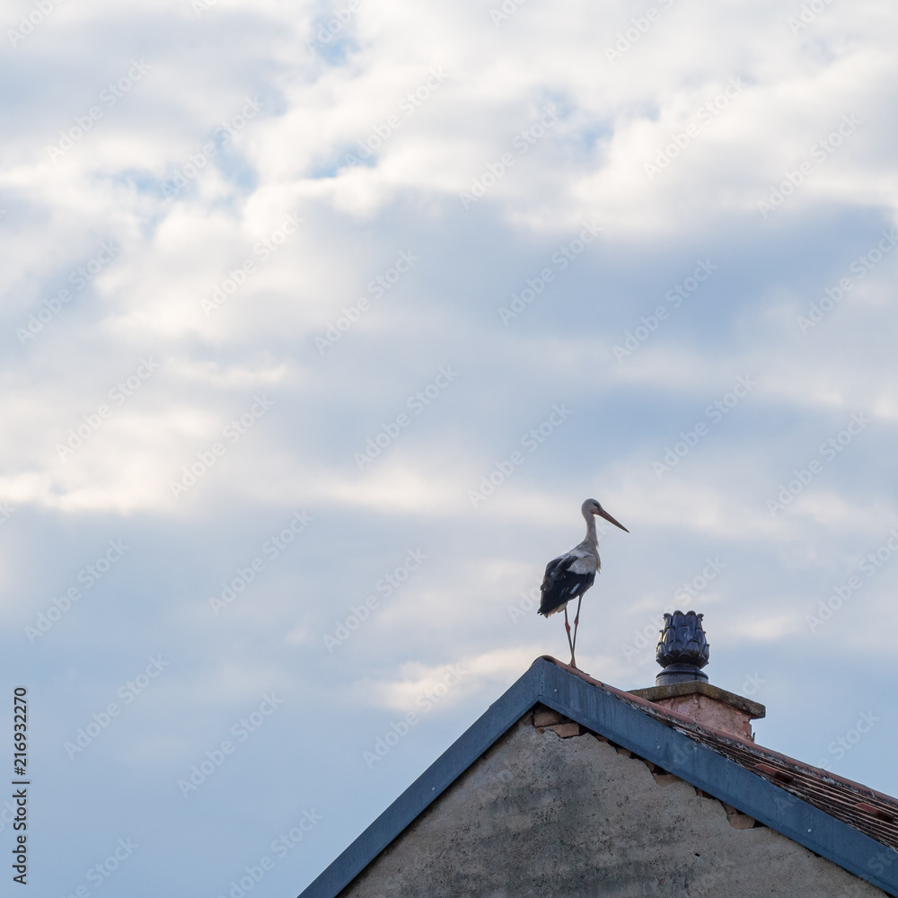 Storch auf einem Dachgiebel in Rust am Neusiedlersee Storch auf einem Dachgiebel in Rust am Neusiedlersee