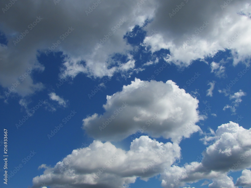 Fototapeta premium Blue sky with white cumulus clouds