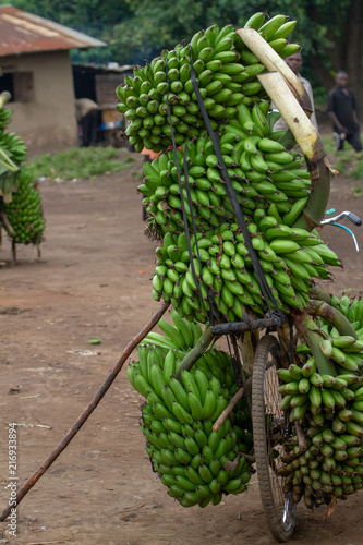 Bananas on their way to market