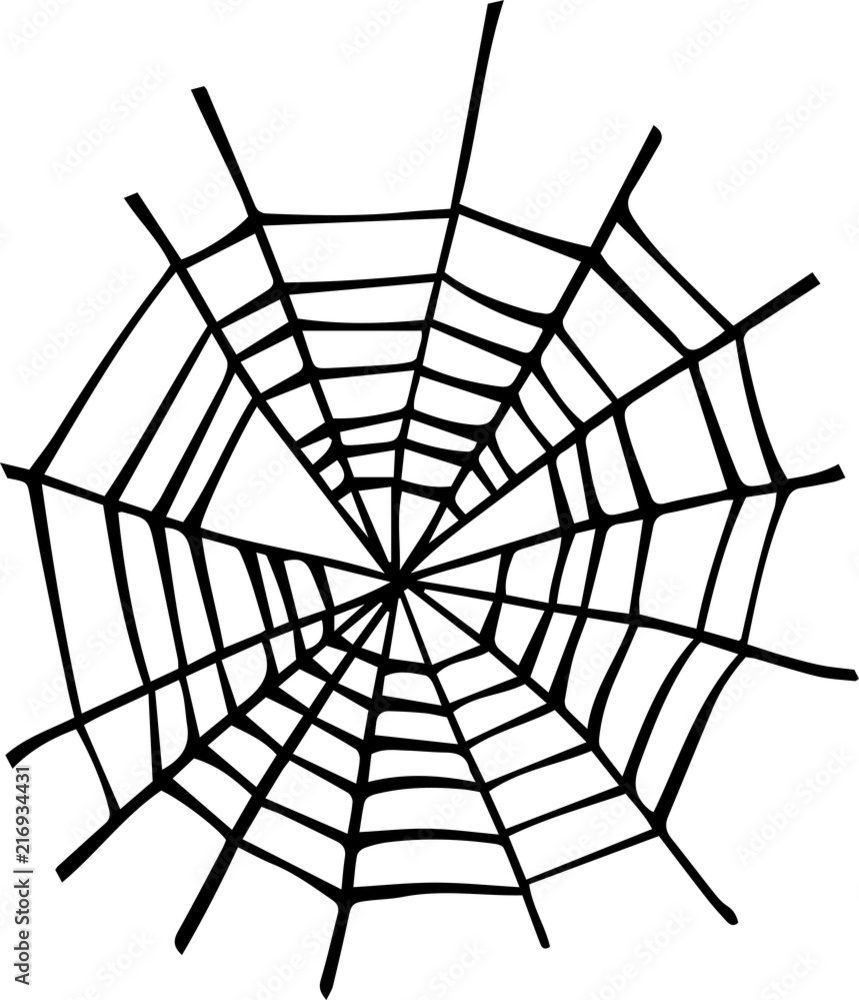 Obraz premium Illustration of spider web