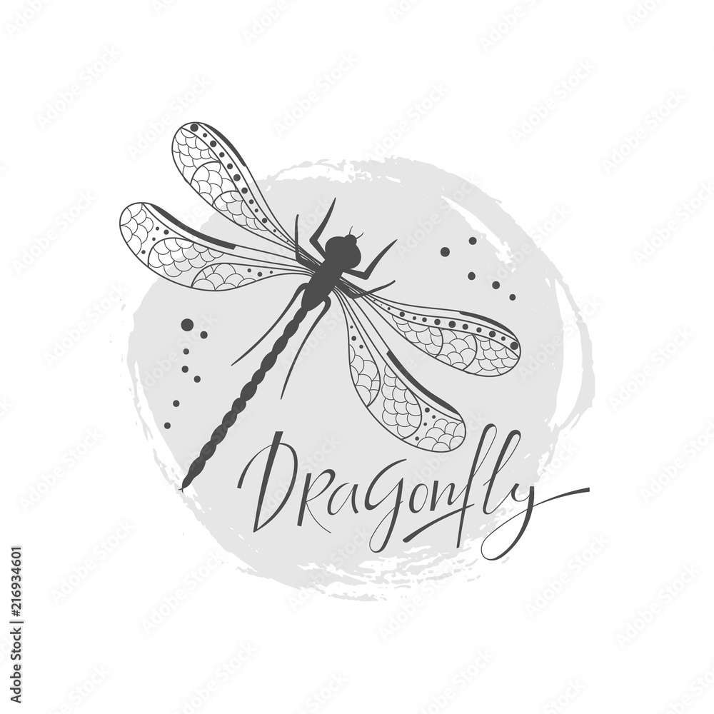 Background with decorative dragonfly Stock Vector | Adobe Stock