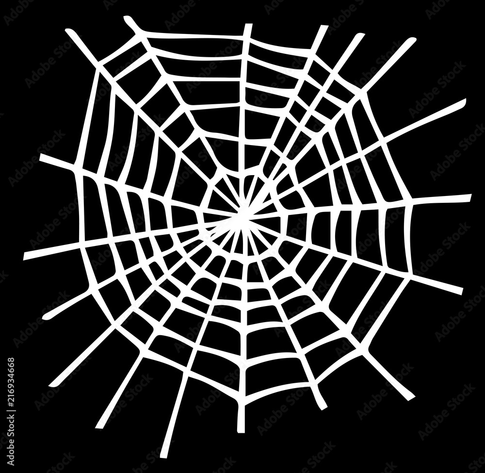 Obraz premium Illustration of White spider web