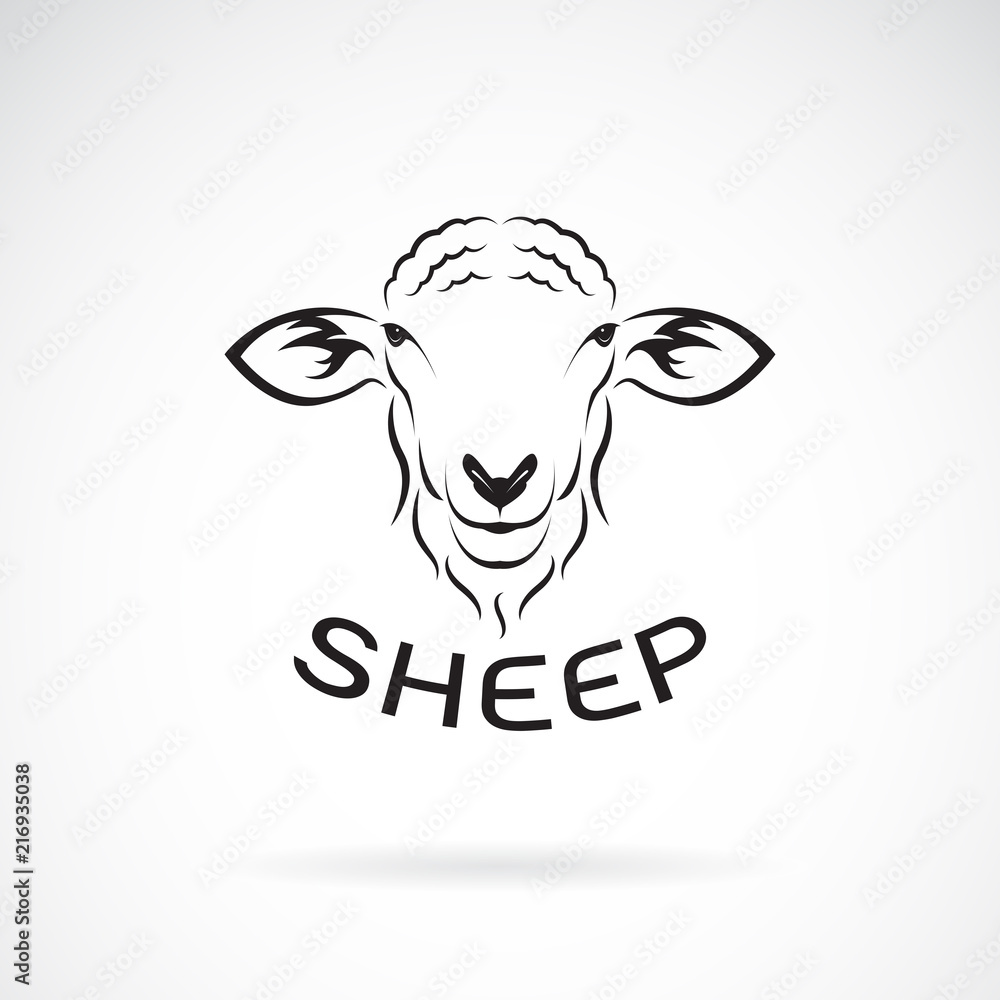 Naklejka premium Wektor konstrukcji głowy owiec na białym tle. Dzikie zwierzęta. Łatwe edytowanie warstwowych ilustracji wektorowych.