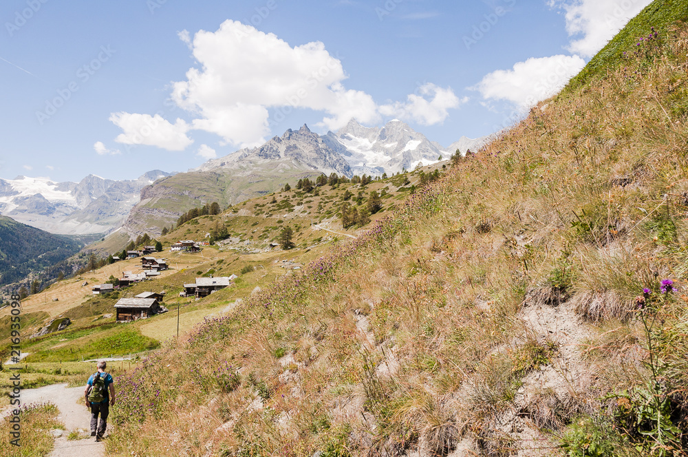 Obraz premium Zermatt, Findeln, Findelbach, Findelschlucht, Sunnegga, Weiler, Alm, Wanderweg, Bergbauer, Bergwiesen, Bergblumen, Sommer, Trockenheit, Alpen, Wallis, Schweiz