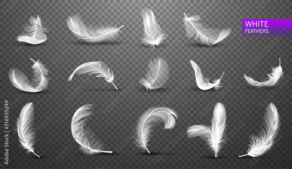 Set of isolated falling white fluffy twirled feathers on transparent background in realistic style. Vector Illustration - obrazy, fototapety, plakaty 