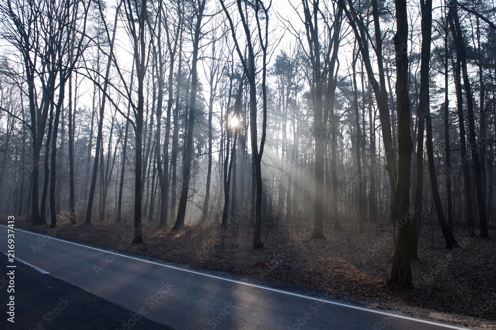 Obraz premium Jesień