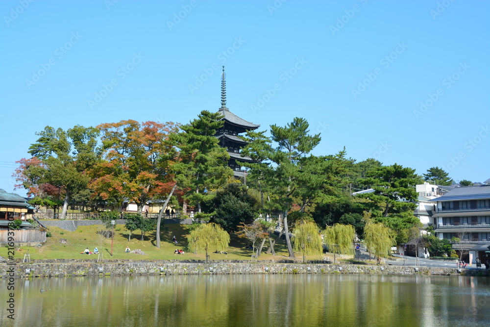 奈良県の猿沢池