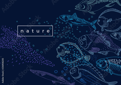 Marine vector template. Nature sea fish.