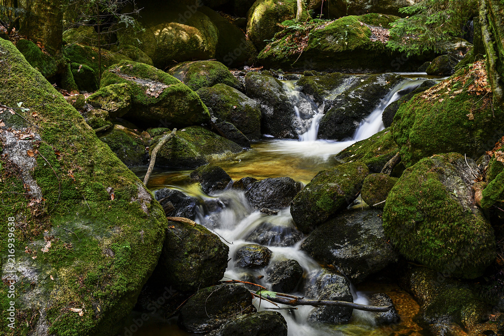 a hike through the wild Ysperclammy