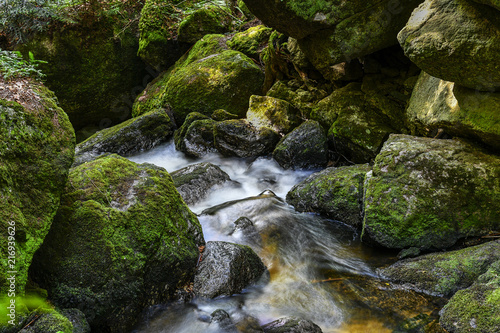 a hike through the wild Ysperclammy