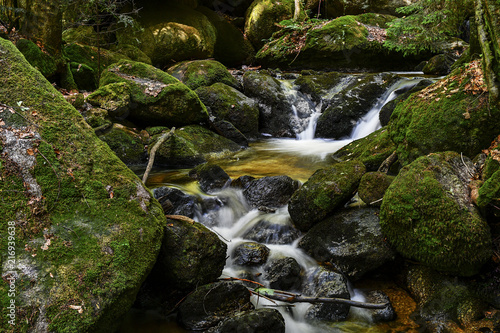 a hike through the wild Ysperclammy