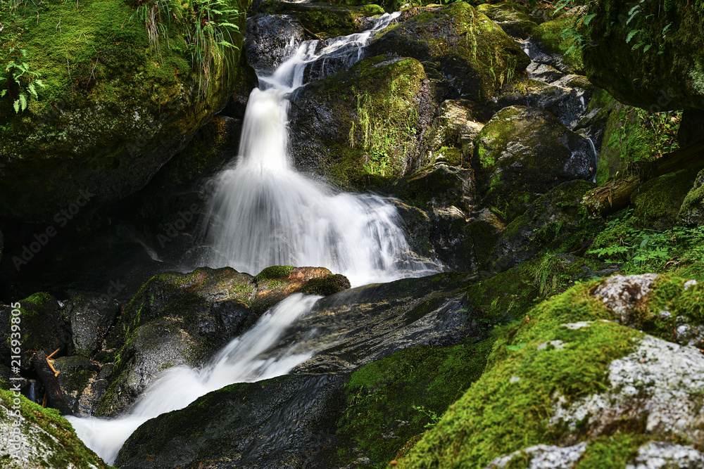 Fototapeta premium a hike through the wild Ysperclammy