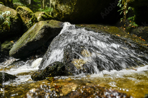 a hike through the wild Ysperclammy photo