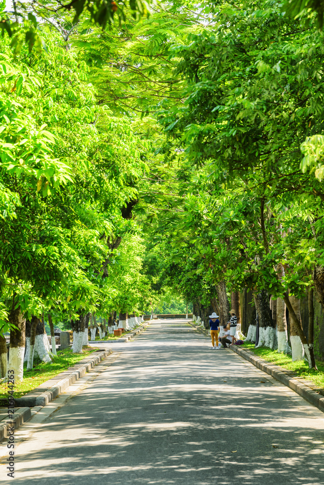 Amazing green shady street at the Imperial City, Hue, Vietnam